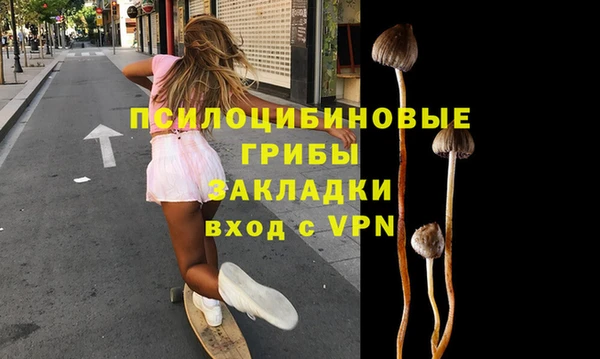 метадон Алексин