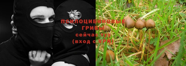 марки lsd Алексеевка