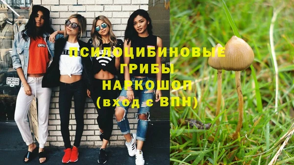 марки lsd Алексеевка